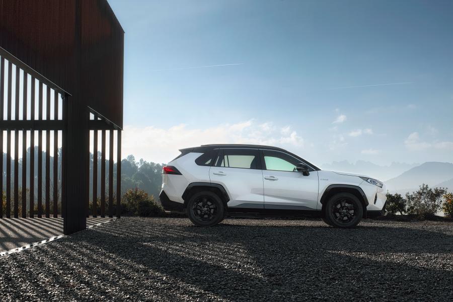  Toyota RAV4 Hybrid Style 2019 года  (WW) (фото 33 из 40)